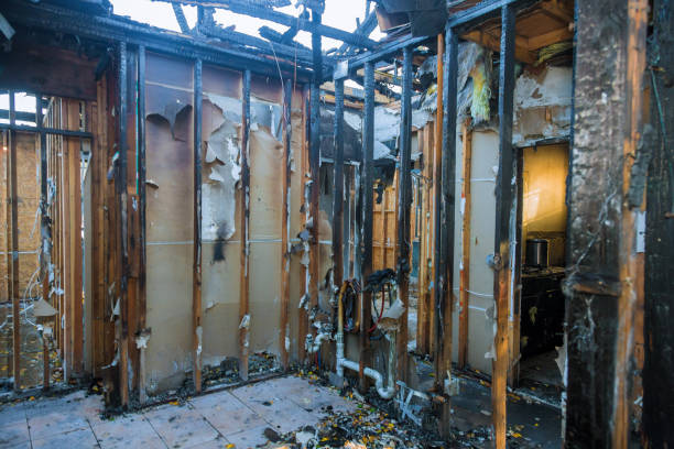 Professional Soot Cleanup technician working in Osseo, MN